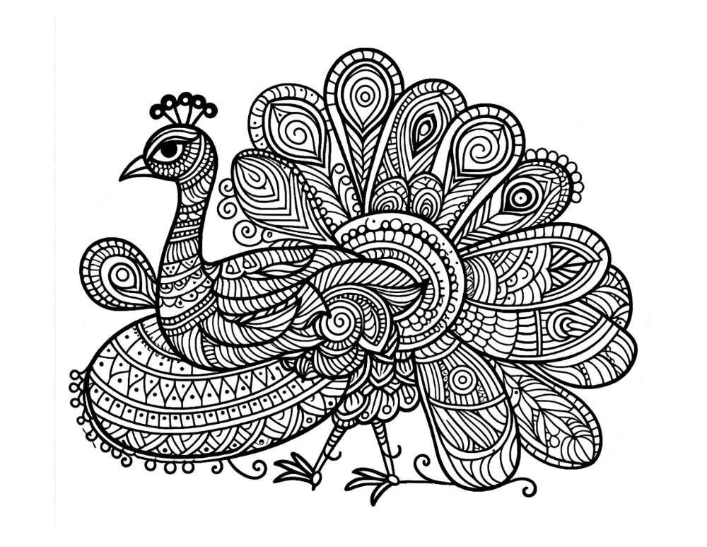 printable peacock coloring pages,  PDF, Free Printable