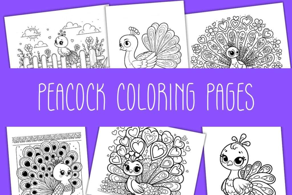 peacock coloring pages (1)